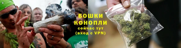 2c-b Гусев