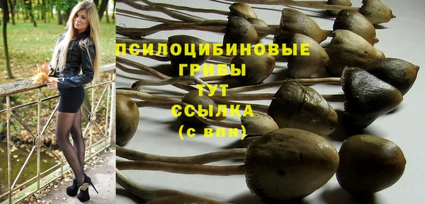 экстази Горно-Алтайск