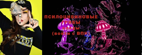 мдпв Гусь-Хрустальный